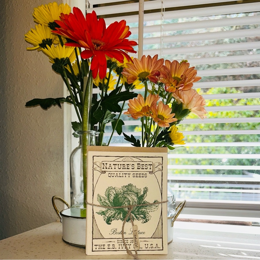 🌱 Vintage Seed Packet Blanket Cards & Envelopes Set Of 5 NWT
